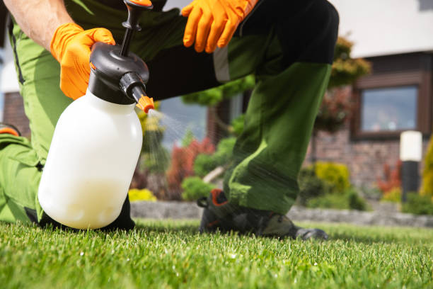Best Affordable Pest Control Services  in Fort Belvoir, VA