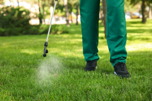 Best Bird Control  in Fort Belvoir, VA