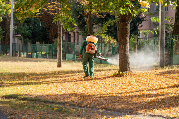 Best Best Pest Control Companies  in Fort Belvoir, VA