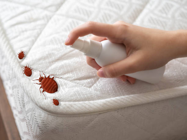 Best Wildlife Control Services  in Fort Belvoir, VA