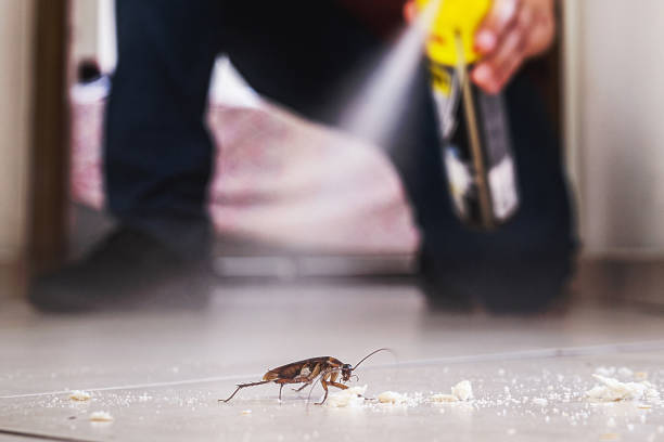 Best Mosquito Control Services  in Fort Belvoir, VA